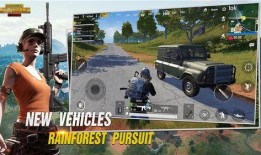 pubg国际服最新版本爆料,最新版PUBG国际服爆料，全新内容与玩法抢先看！
